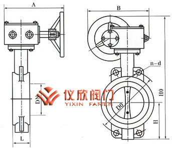 D371F四氟密封对夹蝶阀
