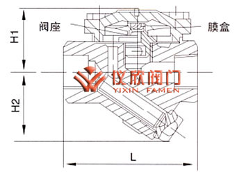 膜盒式疏水阀