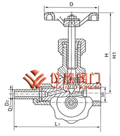J19H针型阀